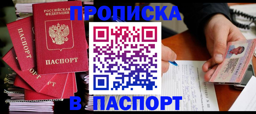 временная регистрация гарантия в Камчатском крае